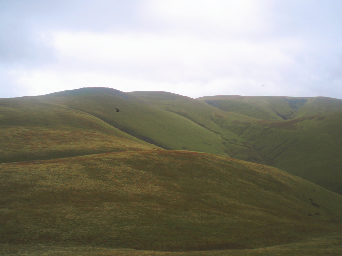 Little Sca Fell Little Sca Fell